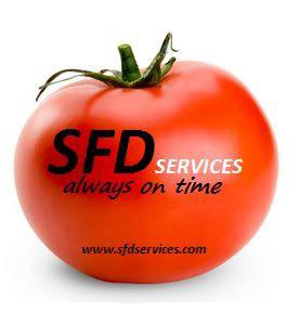 SFD Servicios
